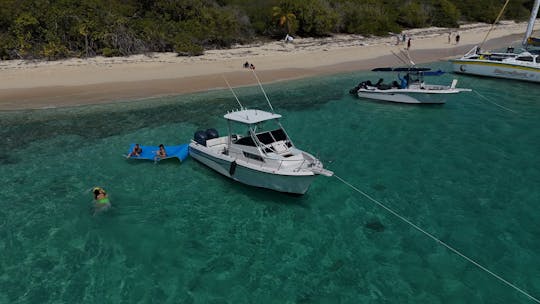 Private Tours~ Snorkeling at Palomino & Icacos Islands- Grady White 27'