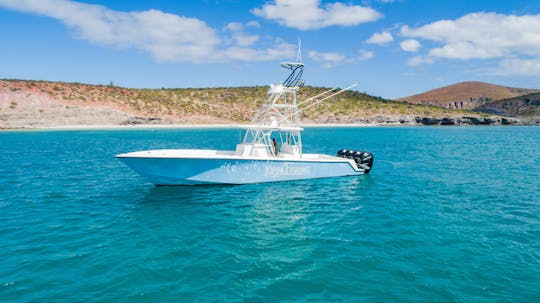 Premium Quad 350 SeaVee Fishing Boat