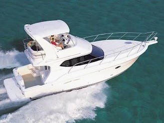 Lux 46' Flybridge Yacht in Downtown Toronto