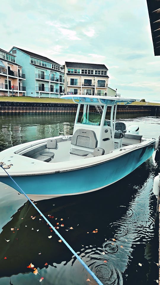 2024 SEA PRO 239DX pronto para a diversão de verão 