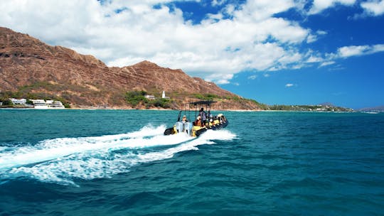 Aventura exclusiva em Waikiki: barco de emoção para 6 passageiros e mergulho com snorkel