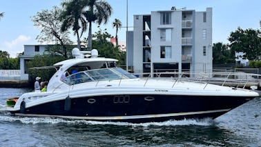 ¡Disfrute de Miami en un SEARAY for Charter de 46 pies! ¡Visitas turísticas y más!