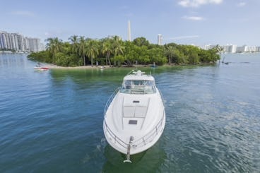 Sea Ray 60' Private Yacht! Get 1 Hr Free Monday-thursday 13 Passengers Max