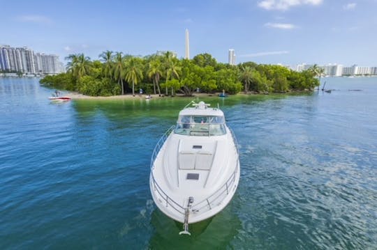 Sea Ray 60' Private Yacht! Get 1 Hr Free Monday-thursday 13 Passengers Max