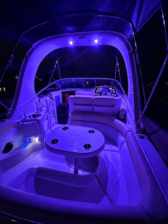 30' Luxury Power Yacht – Party Friendly with Washroom