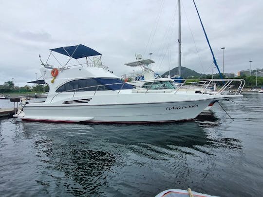 37ft Dandara - Carbrasmar Motor Yacht Rental in Rio de Janeiro, Brazil