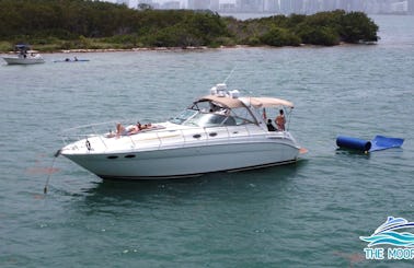42' Searay Sundancer Yacht for Charter in Aventura PRICES MONDAY TO THURSDAY