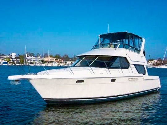 *May Promo Rates! - Lux 44' Flybridge Yacht In Downtown Toronto