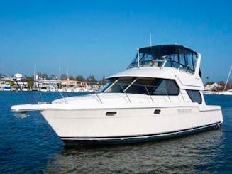 *June Promo Rates! - Lux 44' Flybridge Yacht In Downtown Toronto