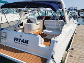 Beautiful Sea Ray Boat