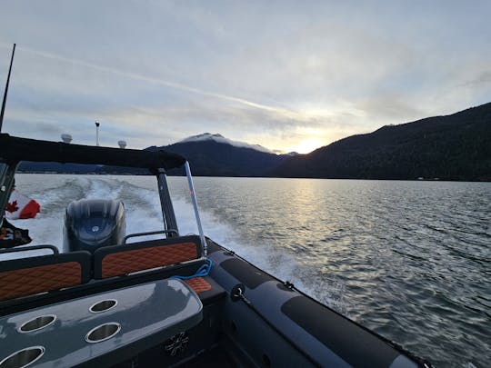 Lujosos viajes panorámicos y de aventura en RIB de alta velocidad: 2024 Highfield Sport 760