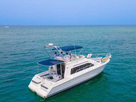 SEA LI-DER | Yacht Magical Mainship de 42 pieds pour la croisière et la pêche sportive à PV