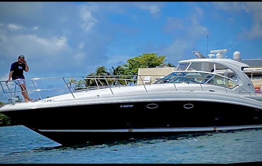 1 heure gratuite - Yacht et jetski à Miami : Sea Ray Sundancer 50 pieds