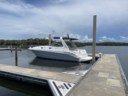 Alquiler de Sea Ray 340 en Clearwater Beach