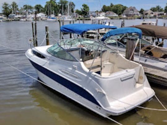 24ft Bayliner Cruiser | Ideal for 7 Guests