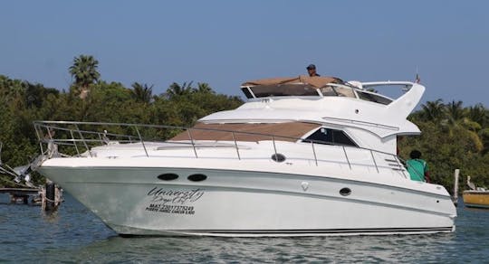 Private 46ft Sedan Bridge Motor Yacht In Cancún Quintana Roo