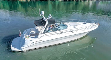 Dream Hollywood SeaRay 410 Express