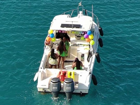 Number One Private Party Boat - 29ft Wellcraft for 10 people