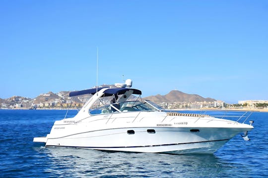 Your Own 40ft Private Yacht in Cabo – Snorkeling, Crew & Open Bar!