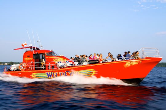 WildCat - Catamaran à grande vitesse de 50 passagers (Brockville/Mille-Îles)