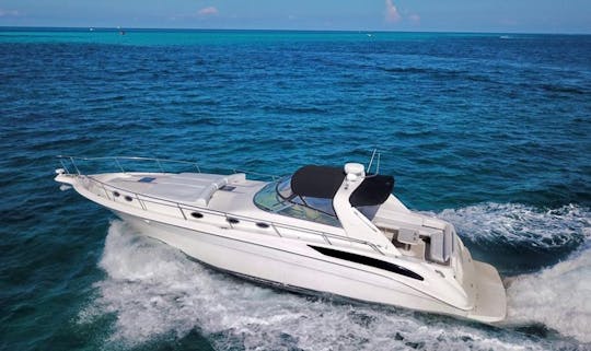 Luxury Yacht Experience — Cruise Cancun on a SeaRay 47ft Yacht