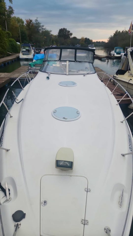 Luxury Boat Wellcraft 40"