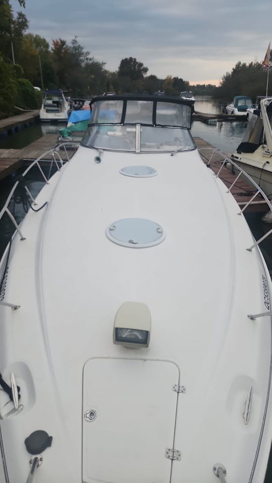 Luxury Boat Wellcraft 40"