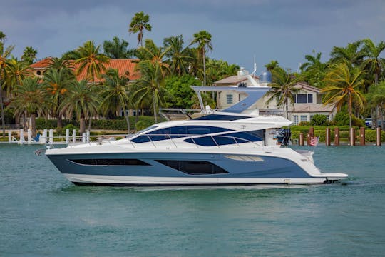 Luxury Experience Sea Ray L55 | Puerto Vallarta (repas inclus pour le capitaine)