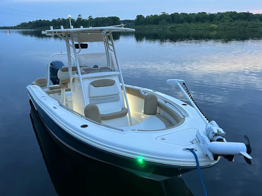Private Charter w/ local captain on a fast and comfortable 20ft Center Console 