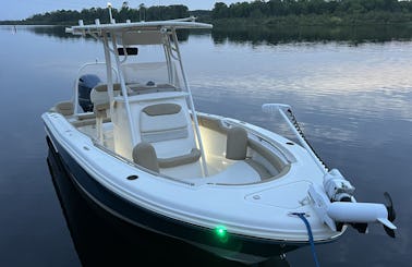 Private Charter w/ local captain on a fast and comfortable 20ft Center Console 