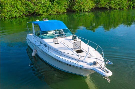 Lovely Sea Ray 32ft , Cruising a Day in the Pacific.