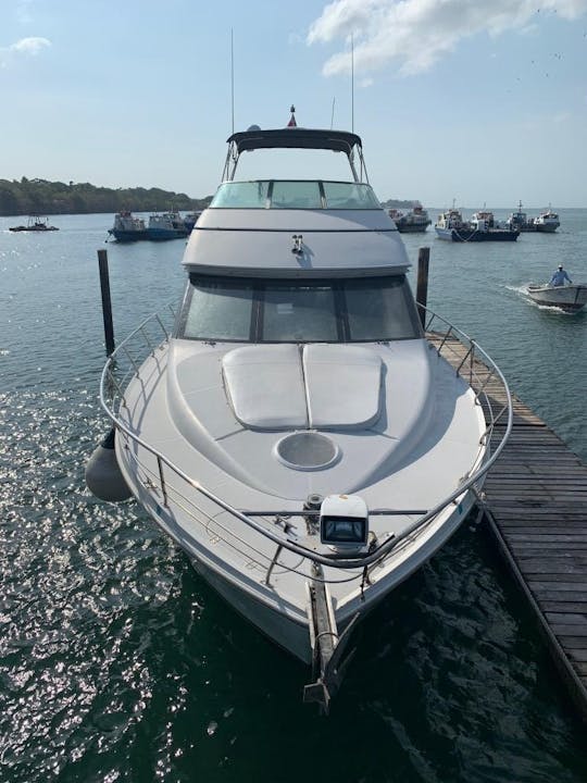 54' Carver Voyager | Great for Day Charter to Taboga | Panama City, Panama