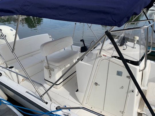 Half Day Rental | 22' Dauntless Boston Whaler in Hyannis Harbor, Massachusetts - Cape Cod