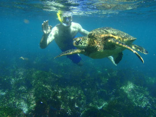 リンコン島とデセチェオ島のサンゴ礁への素晴らしいプライベートシュノーケルチャーター