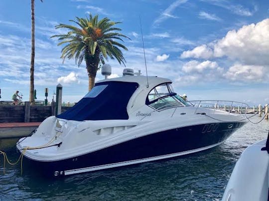 ¡Cuddy Sea Ray Sundancer de 40 pies para una escapada de verano en el mar!
