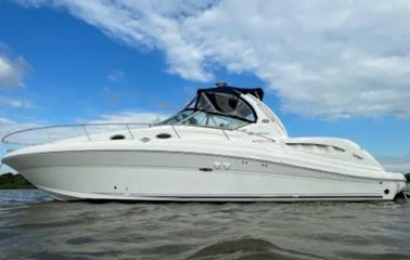 ¡Navega por el río Potomac en el impresionante Sea Ray 340 Sundancer!