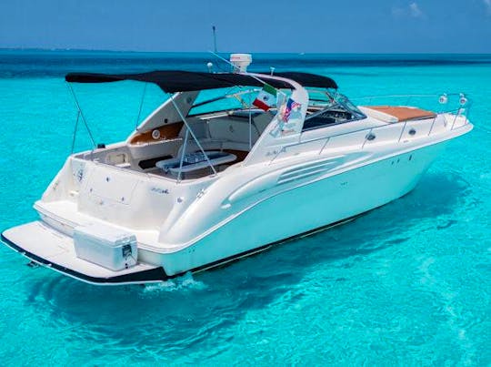 Incredible Sea Ray 46ft + JET SKI (1 hour included on 6 hours or more rental)