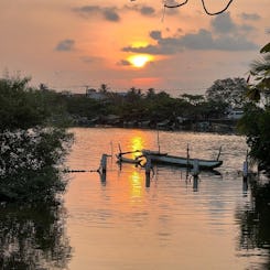 Negombo Lagoon & Muthurajawerla Boat Ride