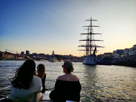 Visite privée des 6 ponts et du Douro, option coucher de soleil de 2h, prix de groupe jusqu'à 6 personnes