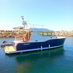 Barco a motor confortável - Vistas, passeios pela fauna local e serviço a bordo 