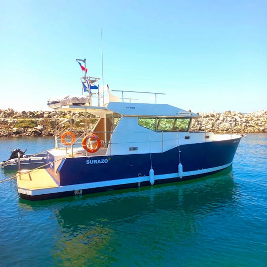 Comfortable Motor boat - Views, sightseeing local fauna and onboard service 