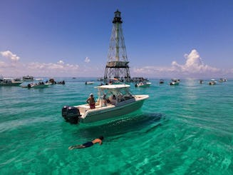 ¡BLANCO GRISÁCEO DE 29 PIES PARA PESCAR Y VIAJES DE PLACER EN LOS CAYOS DE FLORIDA!