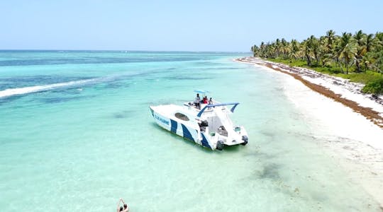 Catamarán a motor privado 