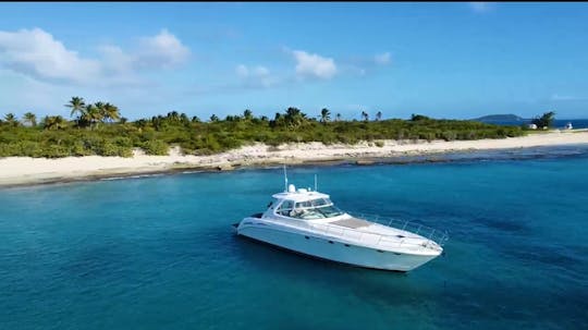 An Unforgettable day on our luxury 60’ SeaRay Sundancer