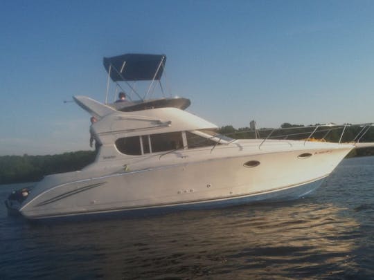 Summer time vibes on the water aboard the 33ft Silverton Motor Yacht