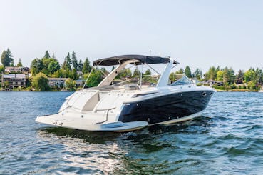 38' Party Cove Adventure Yacht Package - Sport Boats + Captains & Jetski