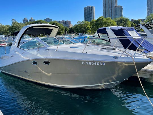 Enjoy Chicago! Beautiful 31' Sea Ray Sundancer - Perfect for any Occasion 