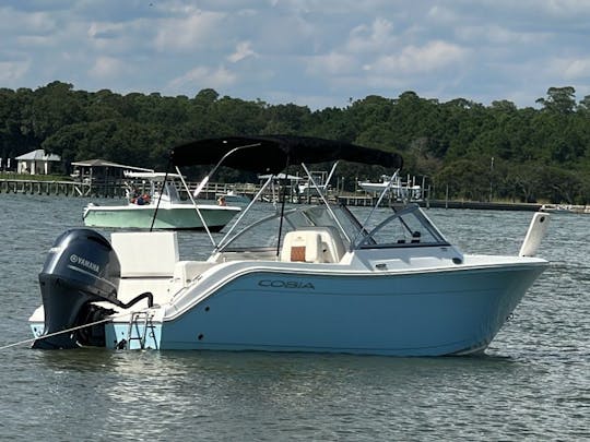  Bote familiar Cobia 220 DC de 21 pies en Wilmington NC