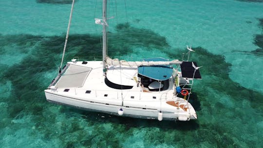 46ft Sailing Catamaran Private Charter / Capacity 45 people