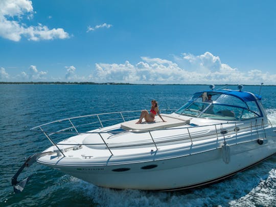 HORA GRÁTIS 45' SeaRay Sundancer (Melhor Equipe)